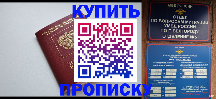 прописка регистрация в Невеле